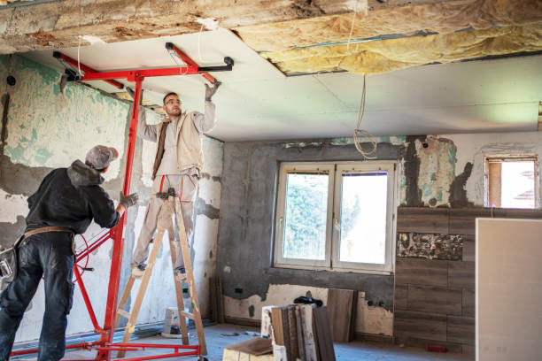Best Insulation Replacement Services  in Tazewell, TN