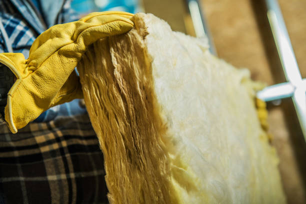 Best Crawl Space Insulation  in Tazewell, TN